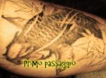 /album/carpa/carpa-primo-passaggio-jpg/